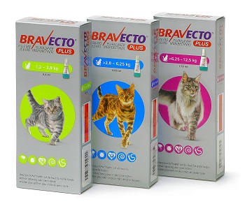 Bravecto PLUS für Katzen